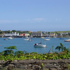 beara