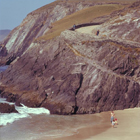 DINGLE