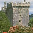 Comt&eacute;s de Tipperrary et Kilkenny