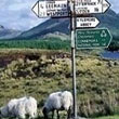 Comt&eacute; de Sligo
