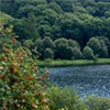 Cyclisme-Wicklow