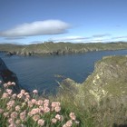 Littoral du West Cork