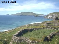 Dingle