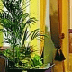 More Lodging info