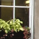 Lodging in Britain