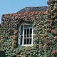 Experience the warmth and comfort of a myguideBritain Hotel