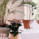 Experience the warmth and comfort of a myguideBritain Hotel